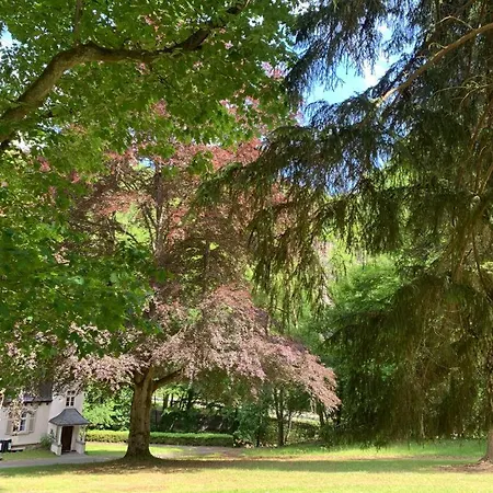 Lejlighed Landsitz Kammerburg Lorch am Rhein