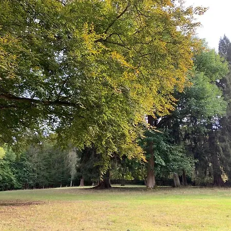 Apartamento Landsitz Kammerburg - Verwalterwohnhaus Lorch am Rhein