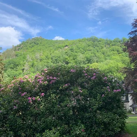 Landsitz Kammerburg - Verwalterwohnhaus * Lorch am Rhein
