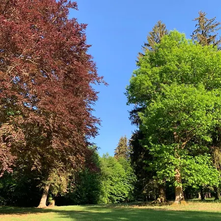 Landsitz Kammerburg Gaestehaus Lorch am Rhein