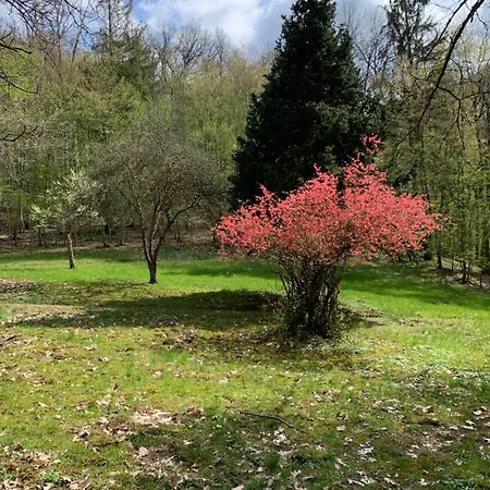 Landsitz Kammerburg Gaestehaus Apartman Lorch am Rhein