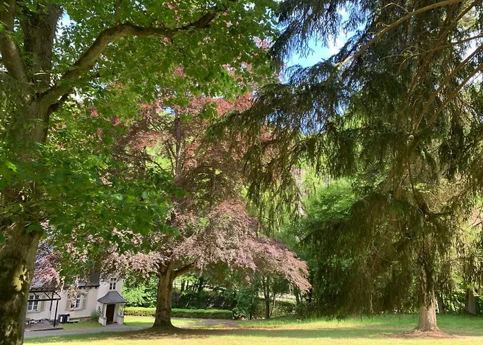 شقة Landsitz Kammerburg لورش ام راين