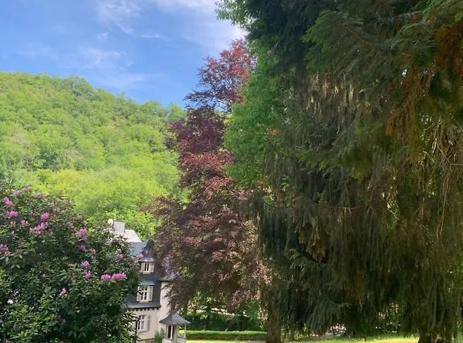 Landsitz Kammerburg Lejlighed