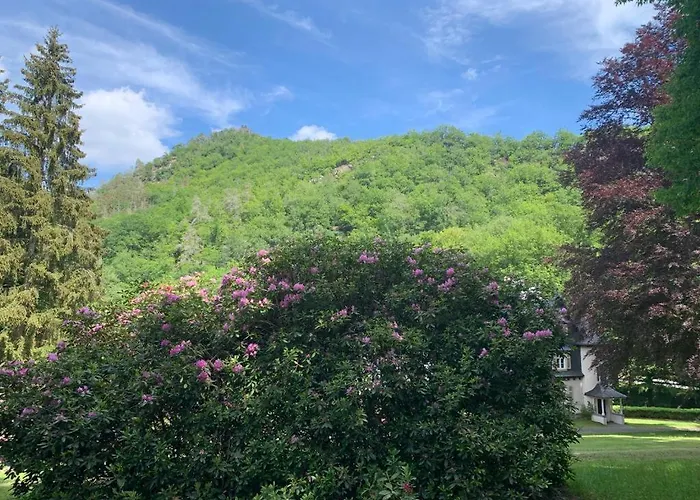 Landsitz Kammerburg * لورش ام راين