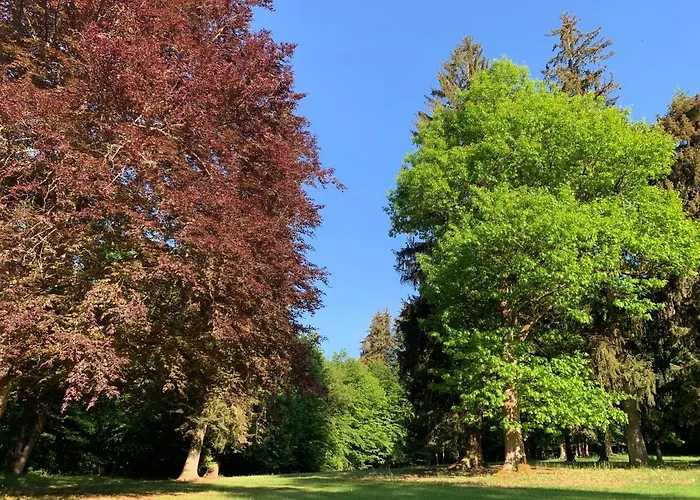 Landsitz Kammerburg لورش ام راين