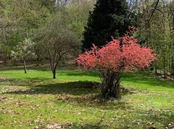 Landsitz Kammerburg شقة لورش ام راين